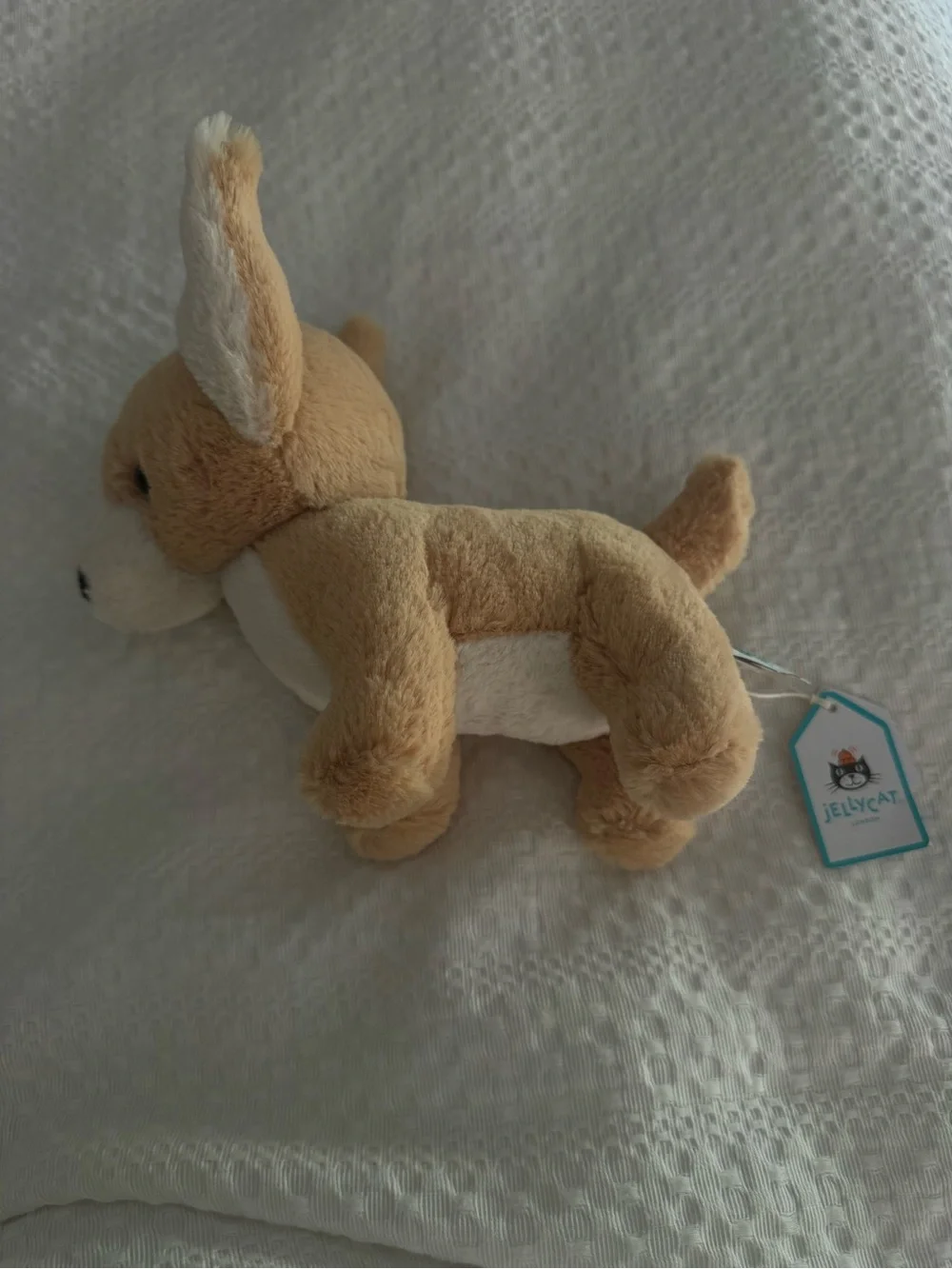 Jellycat - Tan and White Corgi Stuffed Animal